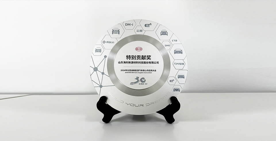 星空官方端网站登录入口-星空xingkong（中国）连续四年再度荣获比亚迪2024年“特别贡献奖”