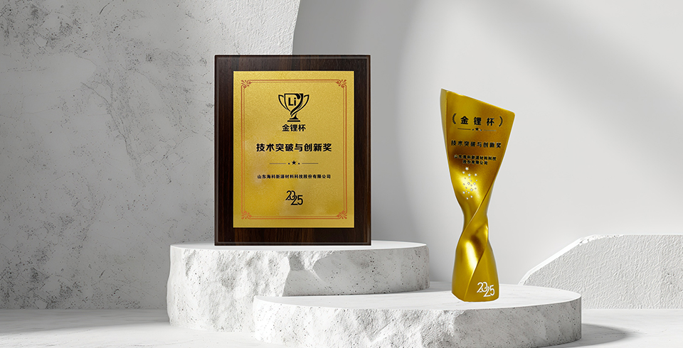喜报 | 星空官方端网站登录入口-星空xingkong（中国）荣获真锂研究“技术突破与创新奖”